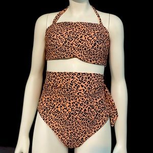 High Waisted Two Piece Cheetah Print Swimsuit